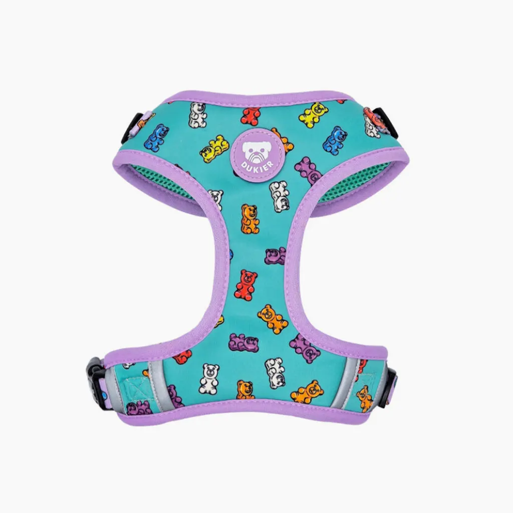 Arnes Dukier Ajustable