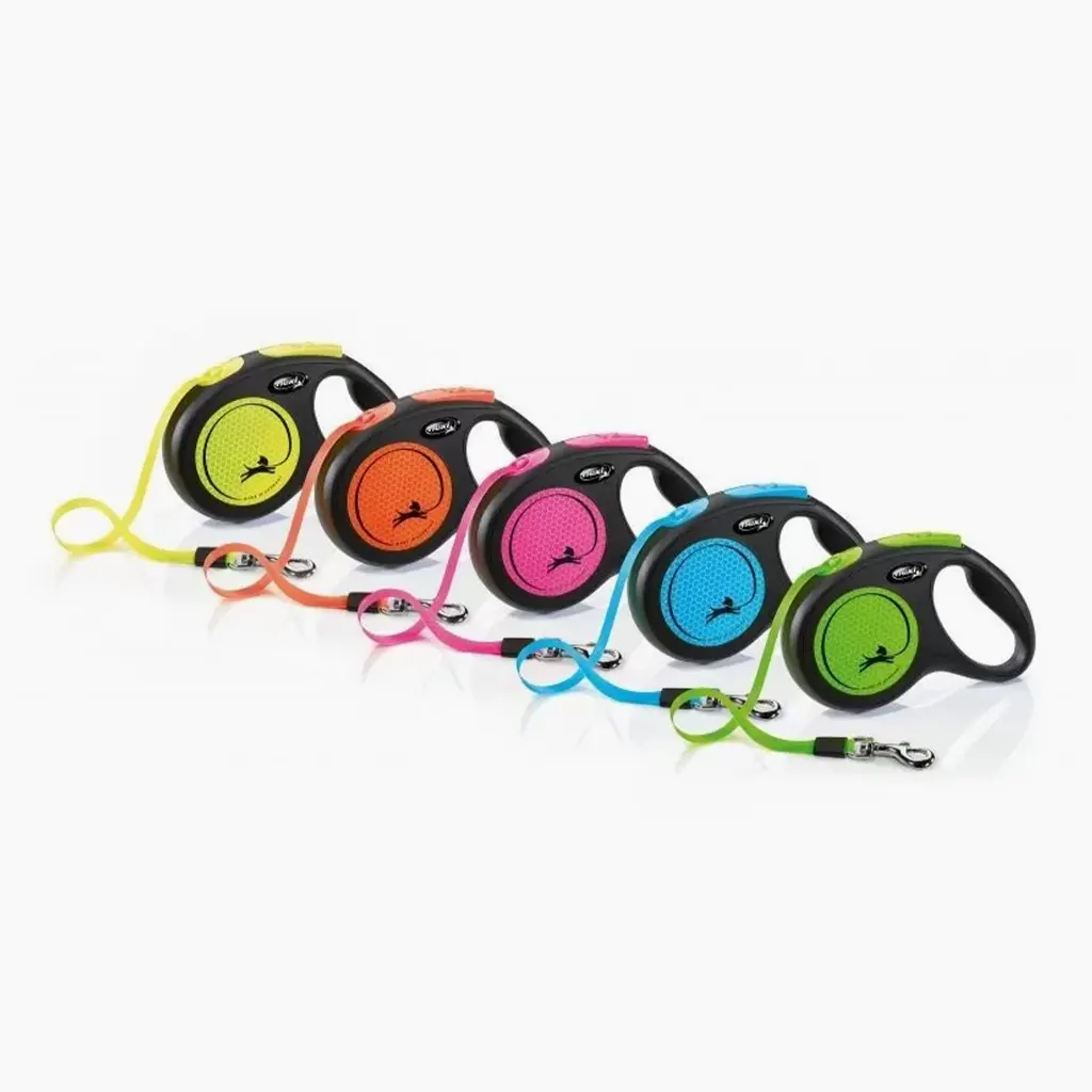 Correa flexi neon