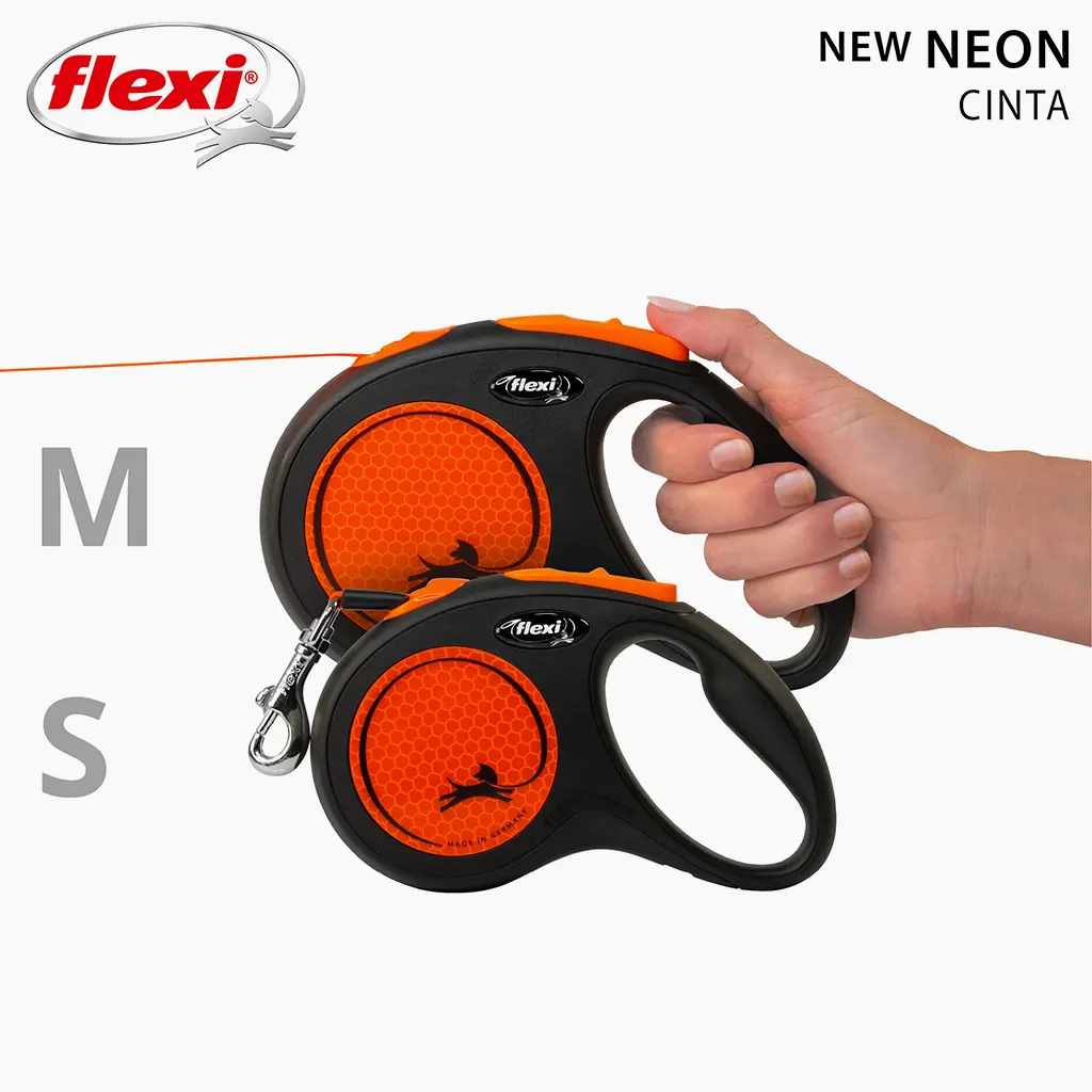 Correa flexi neon
