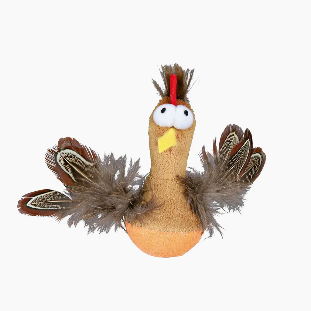 Pollo plumas