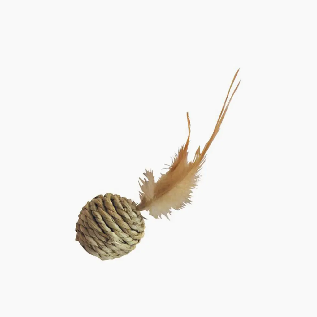 Juguete cuerda pluma