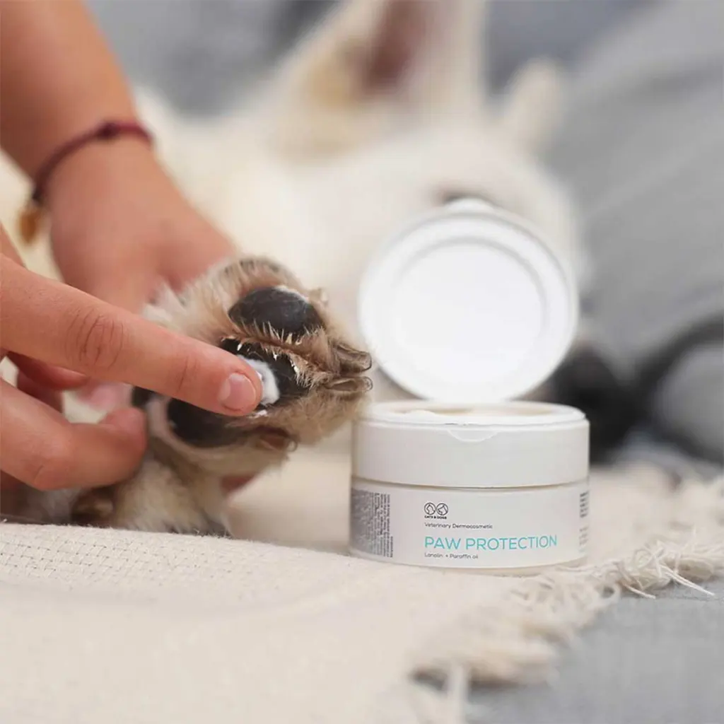Paw protection