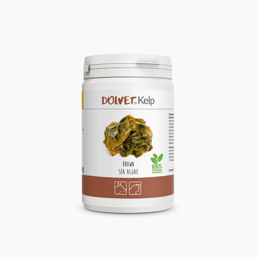 Dolvet Kelp