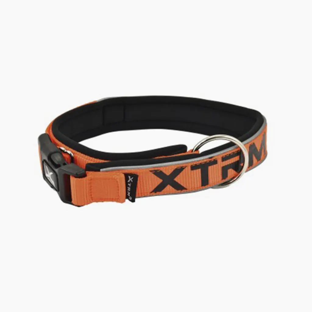 Collar x-trm neon