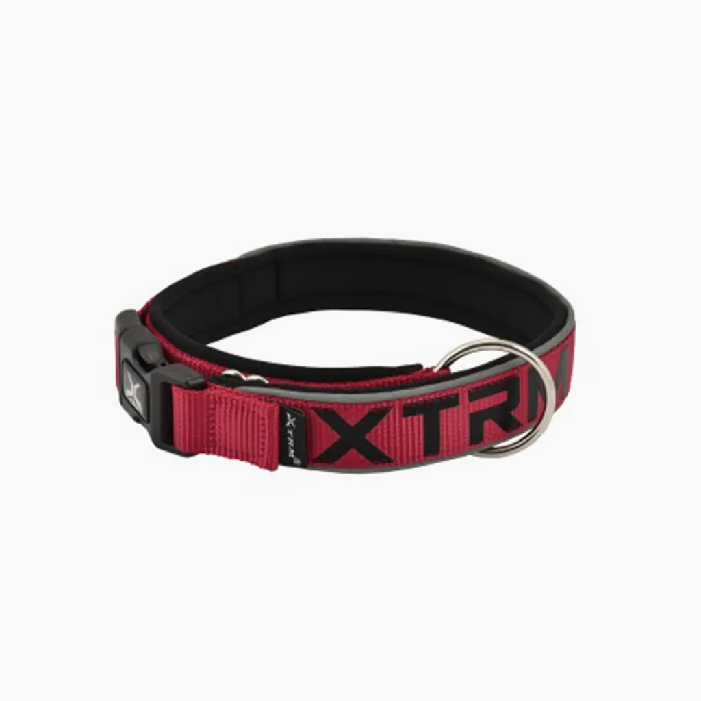 Collar x-trm neon