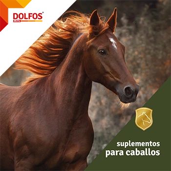 CATALOGO DOLFOS CABALLOS