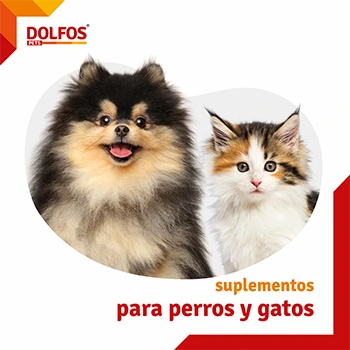 CATALOGO DOLFOS PETS SUPLEMENTOS